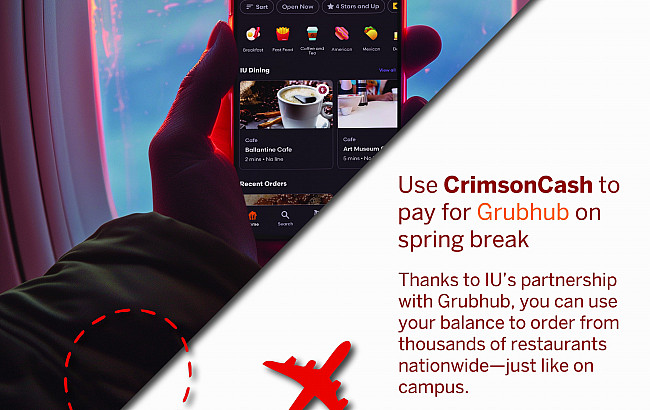 Viewing Grubhub app while on a plane.