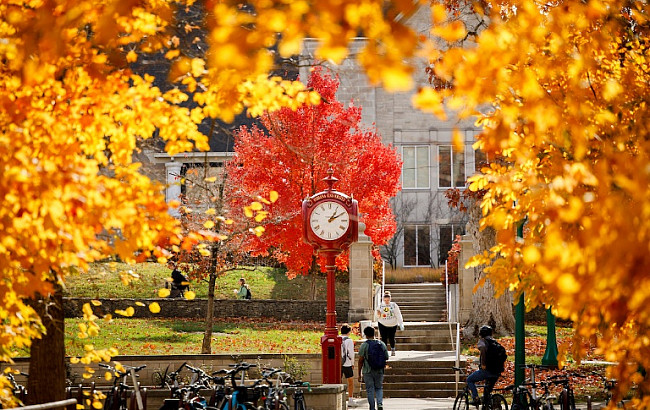 Fall leaves framing a few students entering the IMU