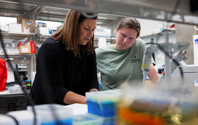 Associate Dean for Research and Graduate Education, School of Science Christine J. Picard and a student, Kelsie Svara, work in her lab. T...