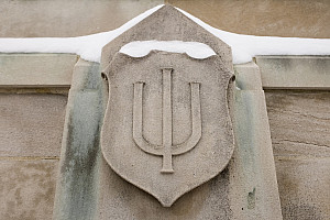 snowy IU trident