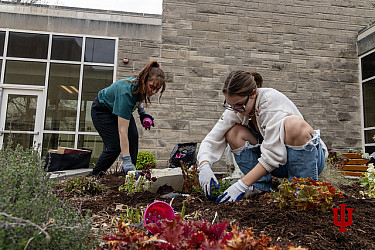 Two IU Kokomo students tend to a flower bed