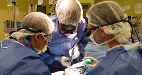 Fellows join seasoned hand surgeons in the operating room to work on unique and complex patient cases.