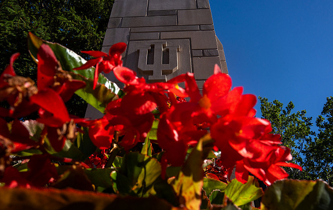 Limestone IU trident behind red flowers.
