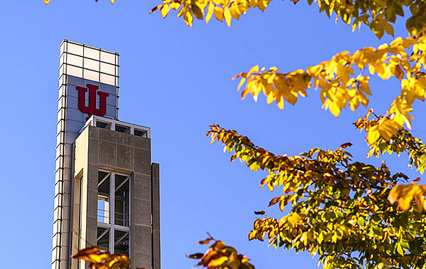 The Campus Center tower is flanked by fall leaves at IU Indianapolis on Thursday, Oct. 24, 2024.