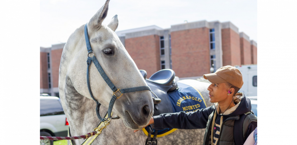 Student and police horse, 2018