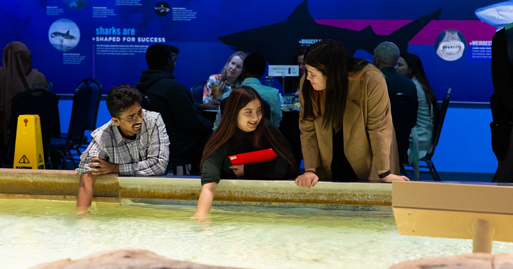 Three people put their hands in the water of a zoo exhibit.