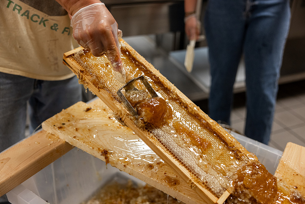 Close up of honey being rolled out of a wooden frame.