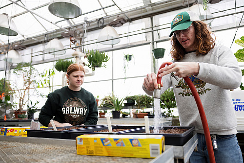 Tristan Pickering, right, supervises in the greenhouse during a Biology Club volunteer event. Photo by Liz Kaye, Indiana University