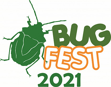 Bug Fest logo