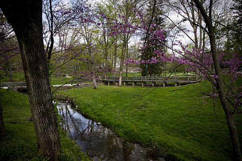 The Campus River flows through campus near Woodburn Hall on a spring afternoon. Photo by James Brosher, Indiana University