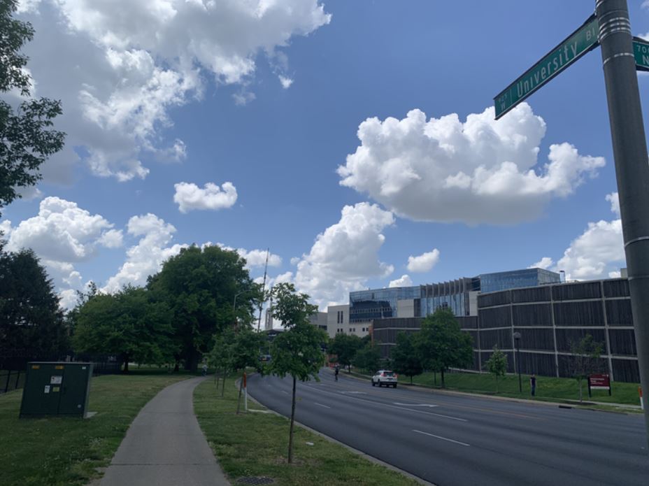 University Boulevard with building in the background and blue sky with puffy white clouds.